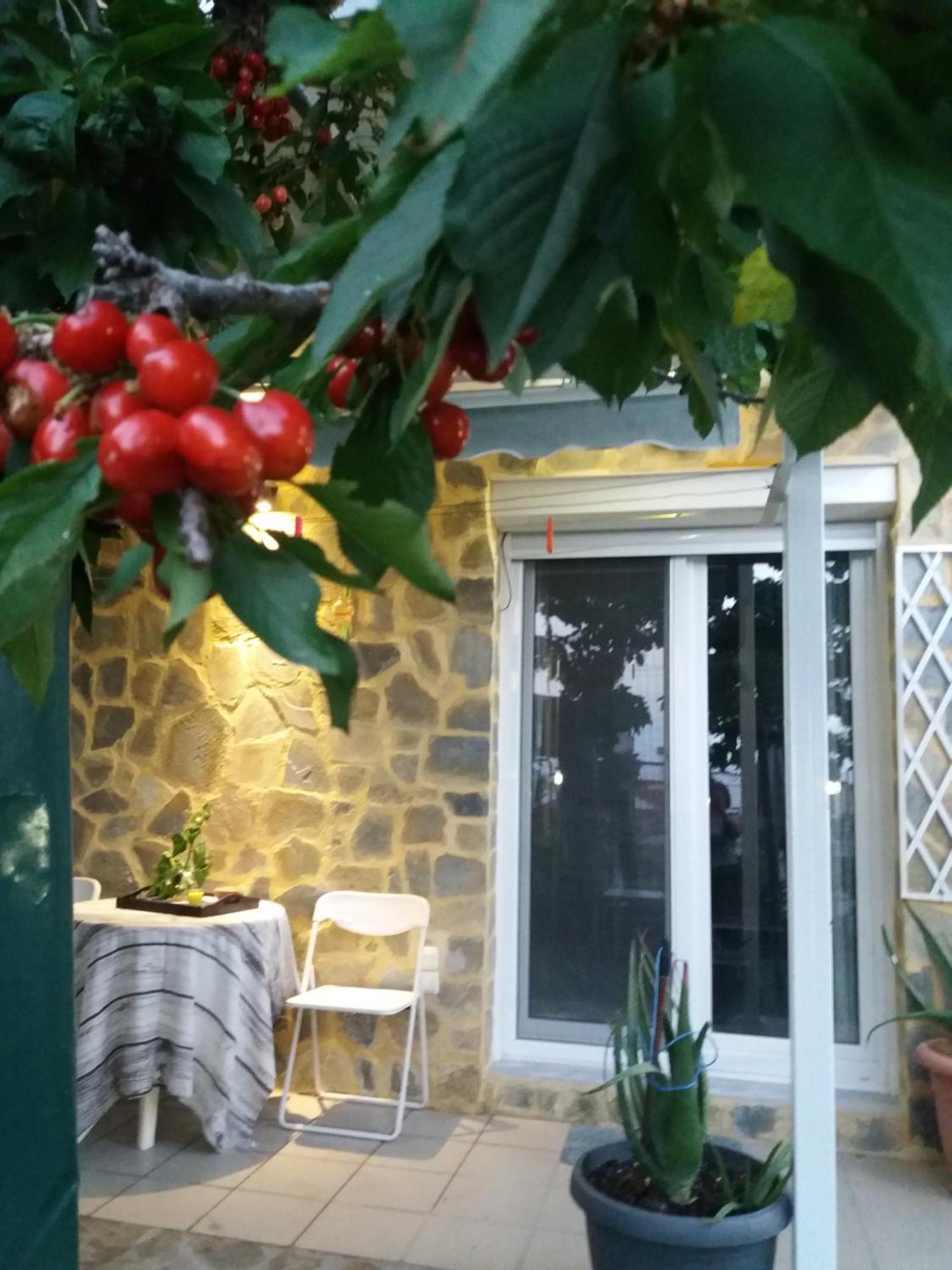 Garden'S House Apartman Kavála Kültér fotó